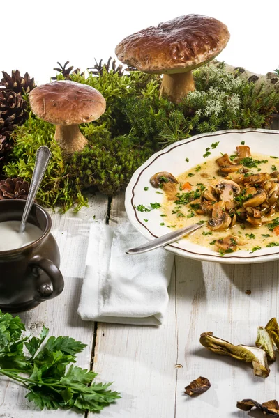Ingredients for home forest mushroom soup — Stock Photo, Image
