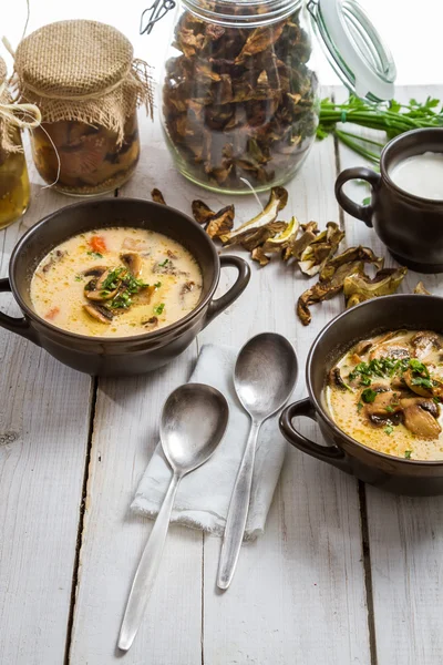 Тарелка грибного супа с сушеными грибами — стоковое фото