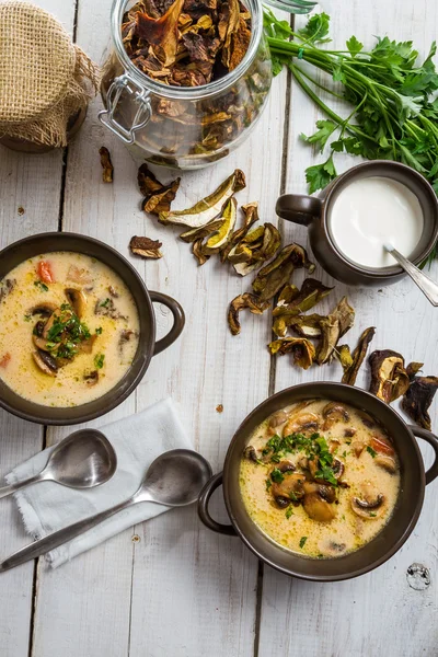 Dois pratos de sopa de cogumelos e ingredientes frescos — Fotografia de Stock
