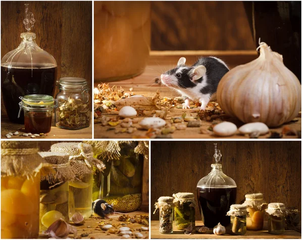 Collage di stock vaso nel seminterrato con piccolo mouse — Foto Stock