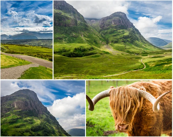 Postcard from the highlands in summer — Stock Photo, Image