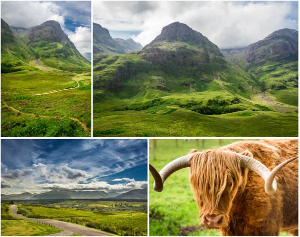 Cartão postal das terras altas da Escócia — Fotografia de Stock