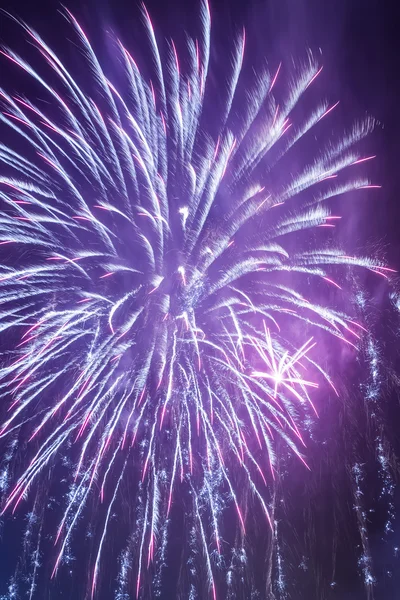 Red fireworks during the celebrations event at night — Stock Photo, Image