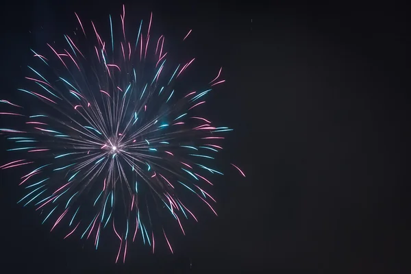 Multicolored fireworks during the celebrations at night — Stock Photo, Image