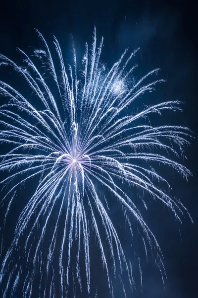Big blue fireworks during the celebrations at night — Stock Photo, Image