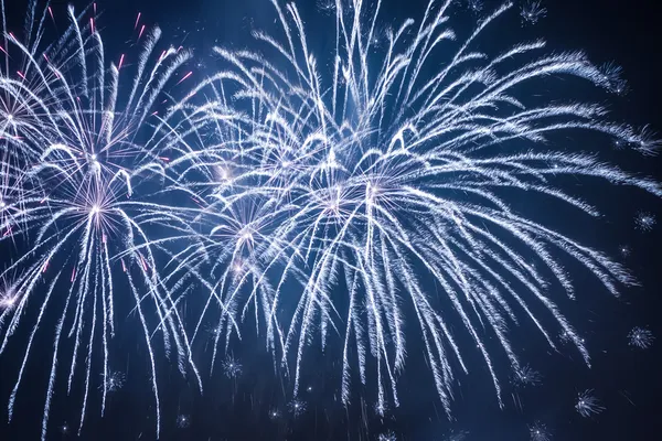 Bug fireworks during the celebrations at night — Stock Photo, Image