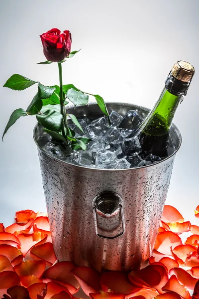 Červená růže a teplé šampaňské pro den svatého Valentýna — Stock fotografie