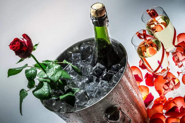 Červená růže a studené šampaňské na oslavu — Stock fotografie