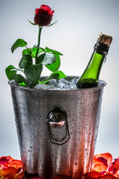 Red rose and champagne for Valentine's Day — Stock Photo, Image