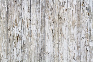 Old white weathered wooden background no. 7 clipart