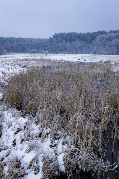 Frusna floden på vintern — Stockfoto