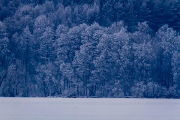 Lago ghiacciato nella foresta in inverno — Foto Stock