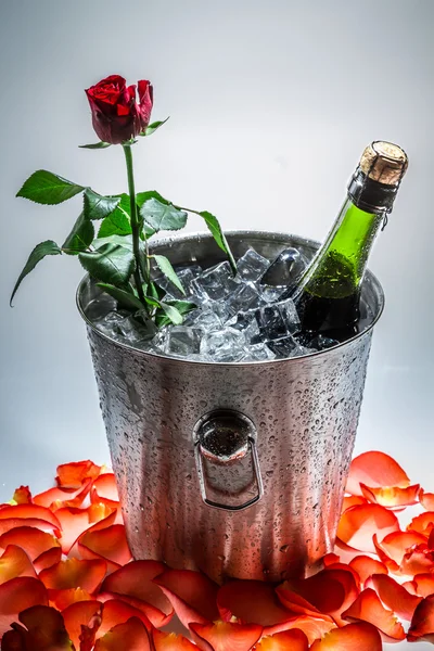 Rose in ice cold with bottle of champagne — Stock Photo, Image