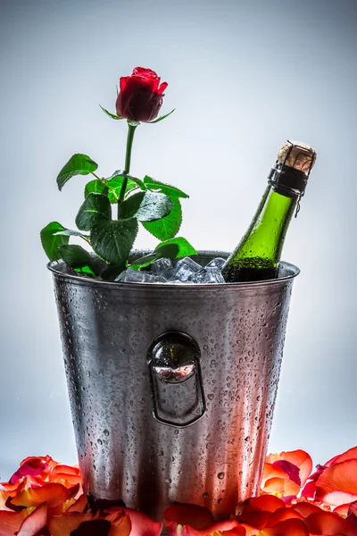 Red rose and cold champagne — Stock Photo, Image