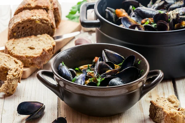 Closeup of mussels served in a sunny day — Stock Photo, Image