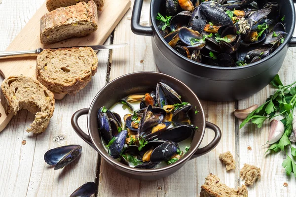 Fresh mussels served in a sunny day — Stock Photo, Image