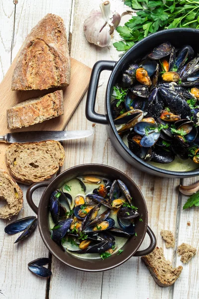 Mussels served with bread by the sea — Stock Photo, Image