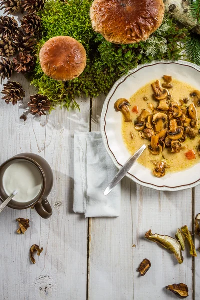 Wild mushrooms soup in natural enviroment — Stock Photo, Image