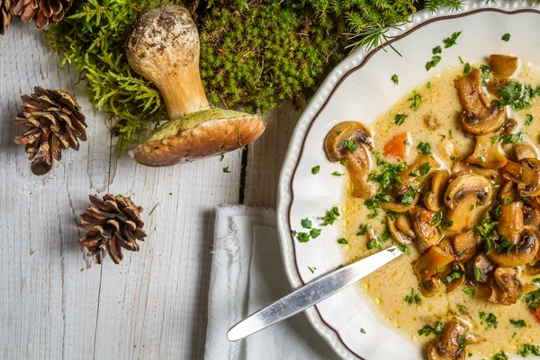 Sopa de cogumelos selvagens e musgo da floresta — Fotografia de Stock