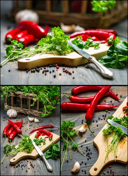 Kryddor och färska örter — Stockfoto