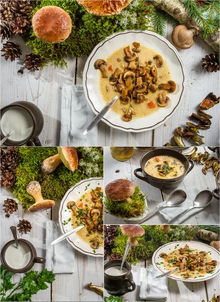 Sopa de cogumelos selvagens e musgo de floresta — Fotografia de Stock