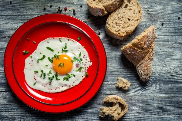 Closeup αυγού, σερβίρεται με μαϊντανό και ψωμί — Φωτογραφία Αρχείου