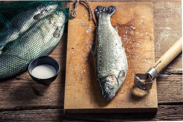 Gros plan de poissons fraîchement pêchés pour le dîner — Photo