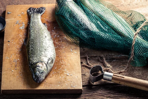 Pesce appena pescato in rete per cena — Foto Stock