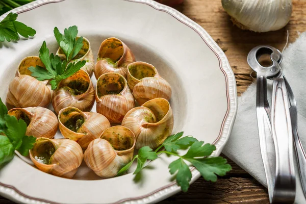 Primer plano de caracoles cocidos en mantequilla de ajo y servidos con perejil —  Fotos de Stock