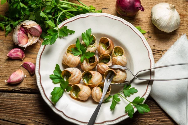 Snails baked in garlic butter and served with parsley — Stock Photo, Image