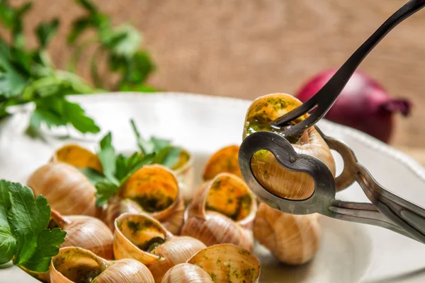 Cómo consumir caracoles fritos en salsa de ajo. —  Fotos de Stock