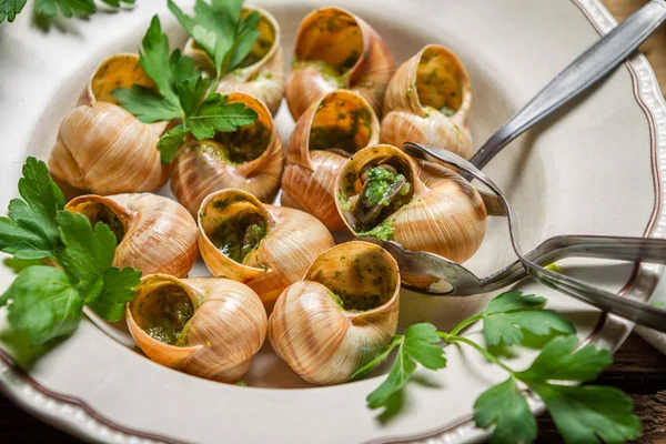 Closeup of fried snails with garlic butter — Stock Photo, Image