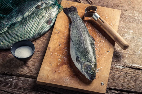 Primer plano de la preparación de pescado para la cena en el campo —  Fotos de Stock