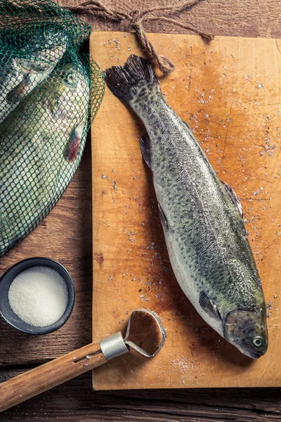 Preparazione di trote appena pescate — Foto Stock