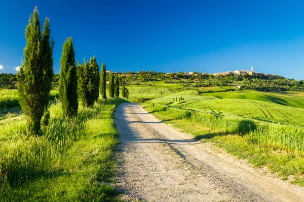 Jalan desa menuju Pienza, Tuscany — Stok Foto