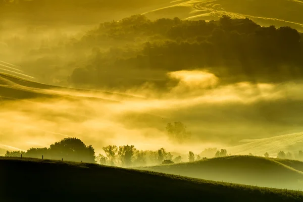 Mattina nebbia nella valle della Toscana — Foto Stock