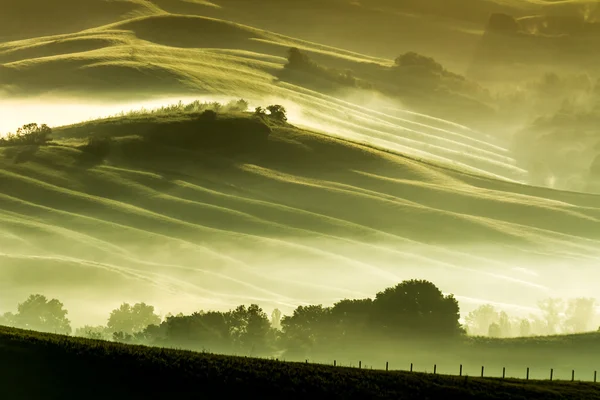 Nevoeiro da manhã no campo Toscana — Fotografia de Stock