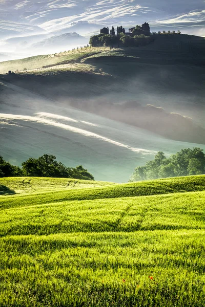 Sol da manhã aquecendo os campos da Toscana — Fotografia de Stock
