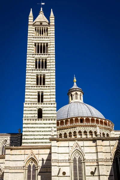 Catedral de Siena en el verano sobre un fondo azul del cielo —  Fotos de Stock