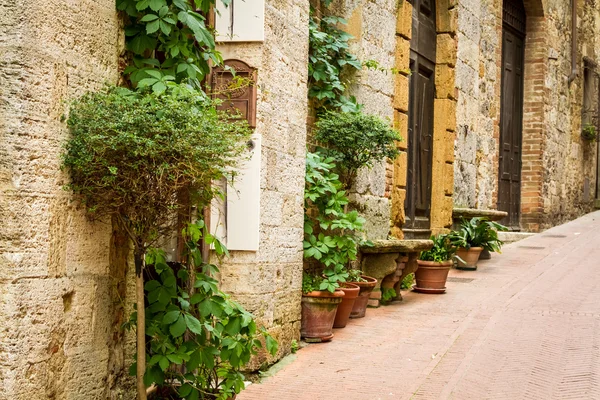 Oude straat versierd met bloemen, Italië — Stockfoto