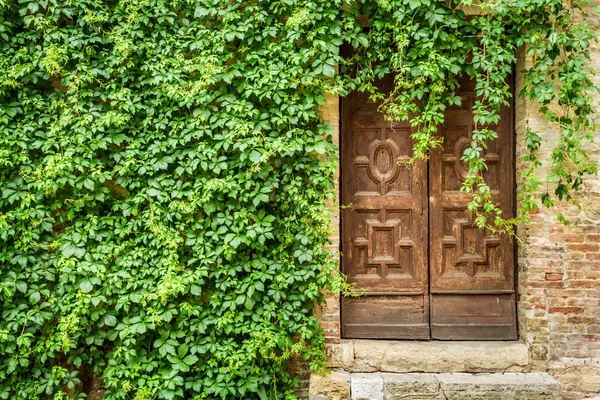 Starobylé budově s dřevěnými dveřmi a ivy — Stock fotografie