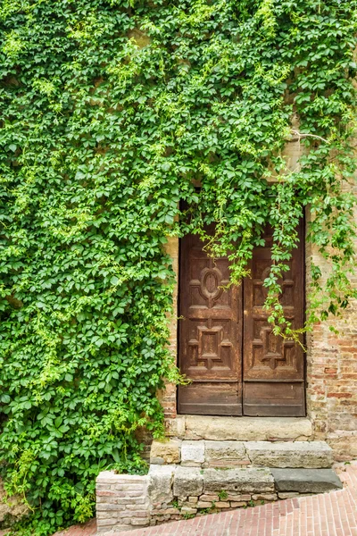 Ancienne maison revêtue de lierre avec porte en bois — Photo