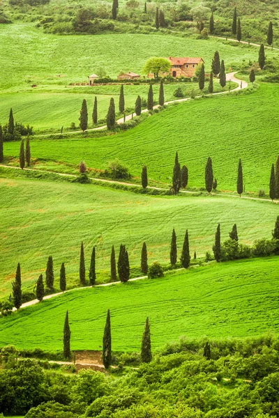 Strada tortuosa per l'agriturismo in Italia sulla collina, Toscana — Foto Stock