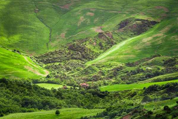 Καταπράσινη κοιλάδα, στα βουνά της Τοσκάνης — Φωτογραφία Αρχείου