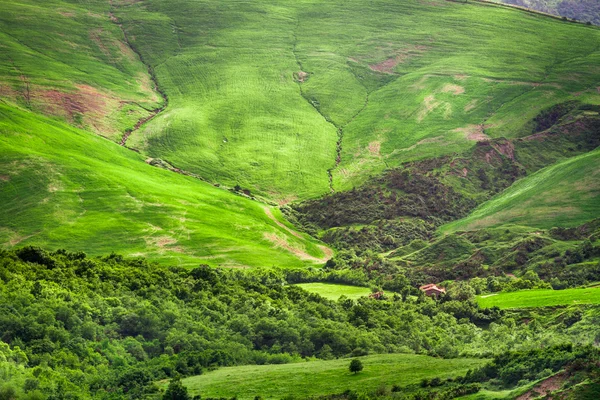 Vale verde entre as colinas na Toscana — Fotografia de Stock
