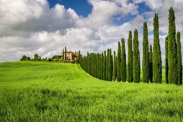 Agritourism di Tuscany dengan cypress — Stok Foto