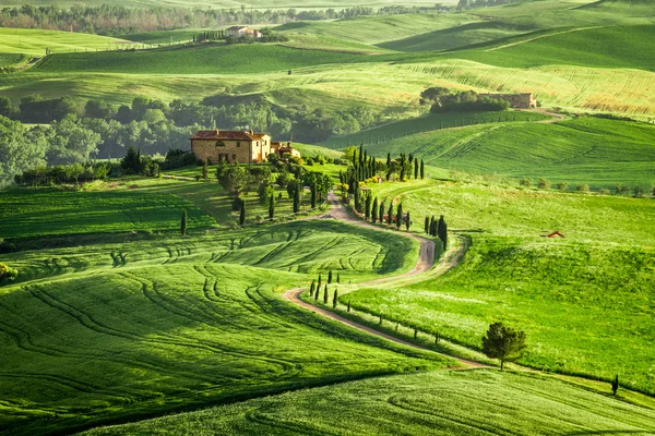 Bondgård i Toscana ligger på en kulle — Stockfoto