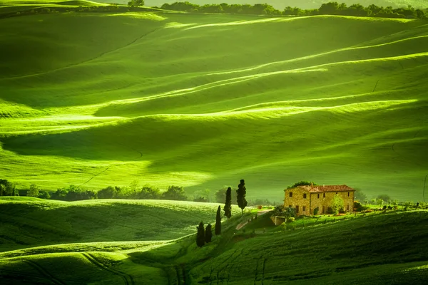 Campos verdes e prados com agroturismo — Fotografia de Stock