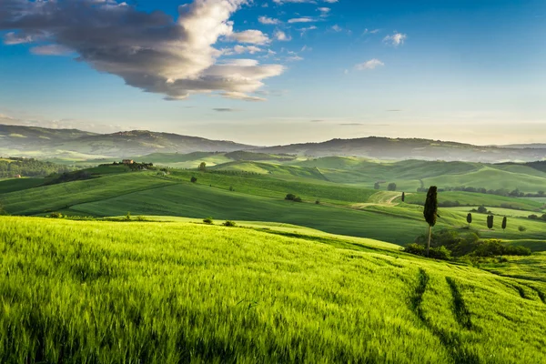 Vale verde ao pôr do sol na Toscana — Fotografia de Stock