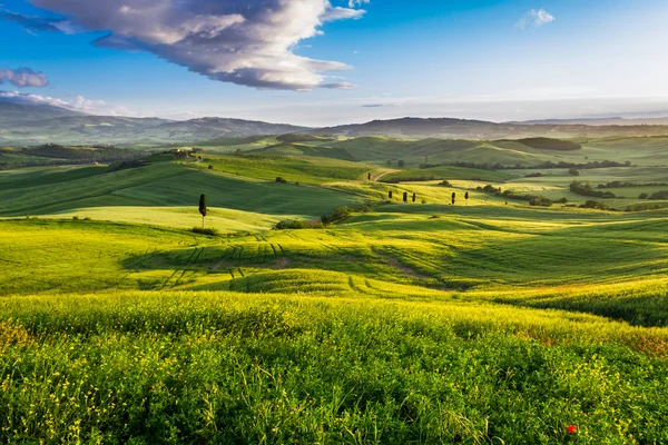 Zielone doliny i góry w zachód słońca w Toskanii — Zdjęcie stockowe